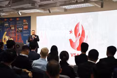 从外交角度来看越南与中国香港关系的新发展步伐