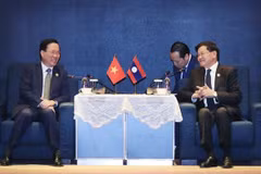 越南国家主席武文赏会见老挝国家主席通伦·西苏里