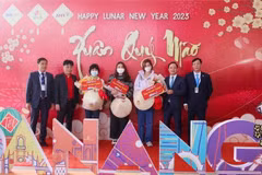 大年初一岘港市迎来首批通过航空入境的外国游客团