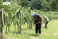 助力山罗省山区摆脱贫困