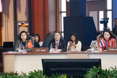 亚太议会论坛第31届年会：越南就加强议会在促进地区和平与稳定中的作用提出四点建议