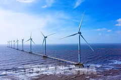 越南制定海洋空间规划 迈向绿色经济体