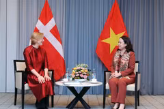 越南国家副主席武氏映春会见丹麦越南友好协会