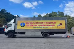 越南首批燕窝正式出口中国