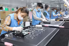 广宁省保持较高的经济社会增速