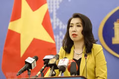黎氏秋姮副外长：武文赏梵蒂冈之行开辟越南与梵蒂冈关系新前景