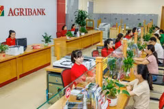 促进绿色金融发展