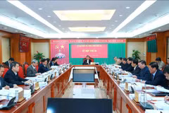 越共中央检查委员会对可再生能源项目有关违规党组织和党员进行审查和处分