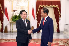 越南国会主席王廷惠会见印尼总统佐科·维多多