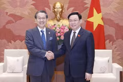 越南国会主席王廷惠会见日本内阁特别顾问兼国际协力银行执行董事前田匡史