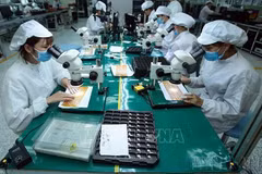 越南成为东南亚“创业金三角”的第三根支柱