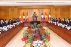 越南国会主席王廷惠与老挝国会主席赛宋蓬举行会谈