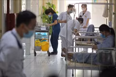 河内加强夏季尤其是4·30和五一长假期间的疫情防控