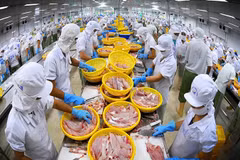 打造品牌 加大对CPTPP市场的出口力度
