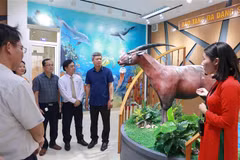 代表们参观广南省生物多样性博物馆。图自越通社