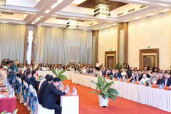 2024年庆和—中国企业对接会场景。图自越通社