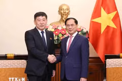 越南政府副总理兼外交部部长裴青山会见朝鲜外务省副相朴祥吉。图自越通社