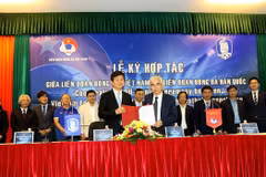韩国足球协会主席：越南有望成为世界足球强国