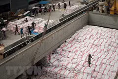 2018年上半年柬埔寨大米出口量同比下降5.9%