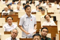 坚江省国会代表团代表在会议上发言。（图片来源：越通社）
