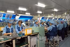 2018年前8个月越南新成立企业87448家