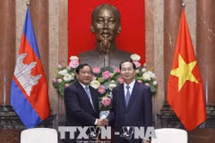 国家主席陈大光会见柬埔寨外交与国家合作部大臣布拉索昆