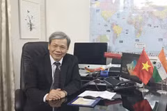 越南驻印度大使：越印全面战略伙伴关系发展势头日益强劲