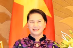 越南国会主席阮氏金银即将出席IPU-138并对荷兰进行正式访问