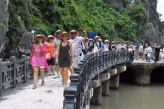 寻找措施 认真分析 提高旅游推介工作效率