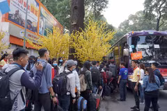 胡志明市开启 “春节班车”活动 送数千名大学生回家过年