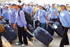 永福省加强劳务输出 解决就业问题