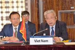 东盟欢迎韩国“新南方政策” 