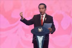 2018年亚洲运动会：印尼总统邀请朝韩领导人出席开幕式