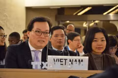 越南强烈反对部分联合国人权专家有失客观的公告