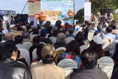 第十六次越南诗歌日在海云岭举行