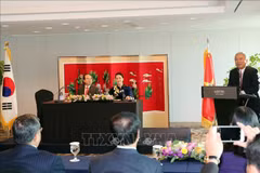 国会主席阮氏金银与越韩多元文化家庭代表会面