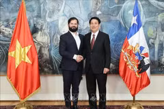 越南国家主席梁强（右）与智利总统博里奇握手。图自越通社