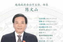 图表新闻：陈文山被任命为越南政府办公厅主任、部长