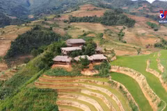 木江界旅游业：新冠疫情巨大冲击下的艰难复苏