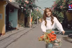 越南在脸书上推广“越南——安全目的地”