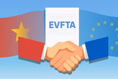 越南加快完成EVFTA相关批准手续 使越南与欧盟自贸协定尽早生效 