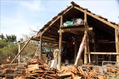 河内市向中部地区灾民提供590亿越盾 用于开展灾后重建工作
