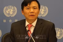 越南外交部门成立75周年：越南在国际舞台上的地位日益得到重视