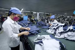 标准普尔评级: 新冠肺炎疫情后越南经济复苏速度位居亚太地区第二