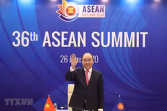 越南加入东盟25周年：澳大利亚一名教授高度评价越南的巨大贡献