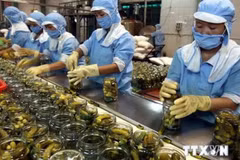 越南企业努力促进对新加坡的出口