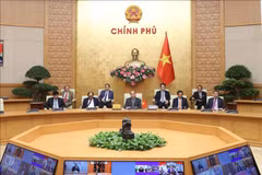 越南政府总理出席应对新冠肺炎疫情的G20视频峰会