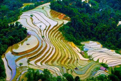 木江界注水季节：西北山林的壁画