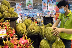 为农产品出口打造突破口