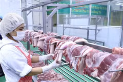确保猪肉市场保供稳价